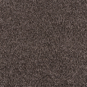 FAME / フェイム(#8 ブラウン)