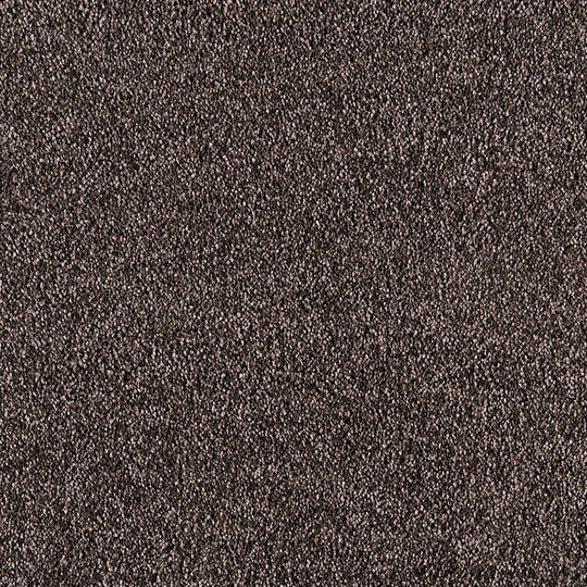 FAME / フェイム(#8 ブラウン)