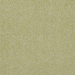 ソフトフィール(#4 Lグリーン)