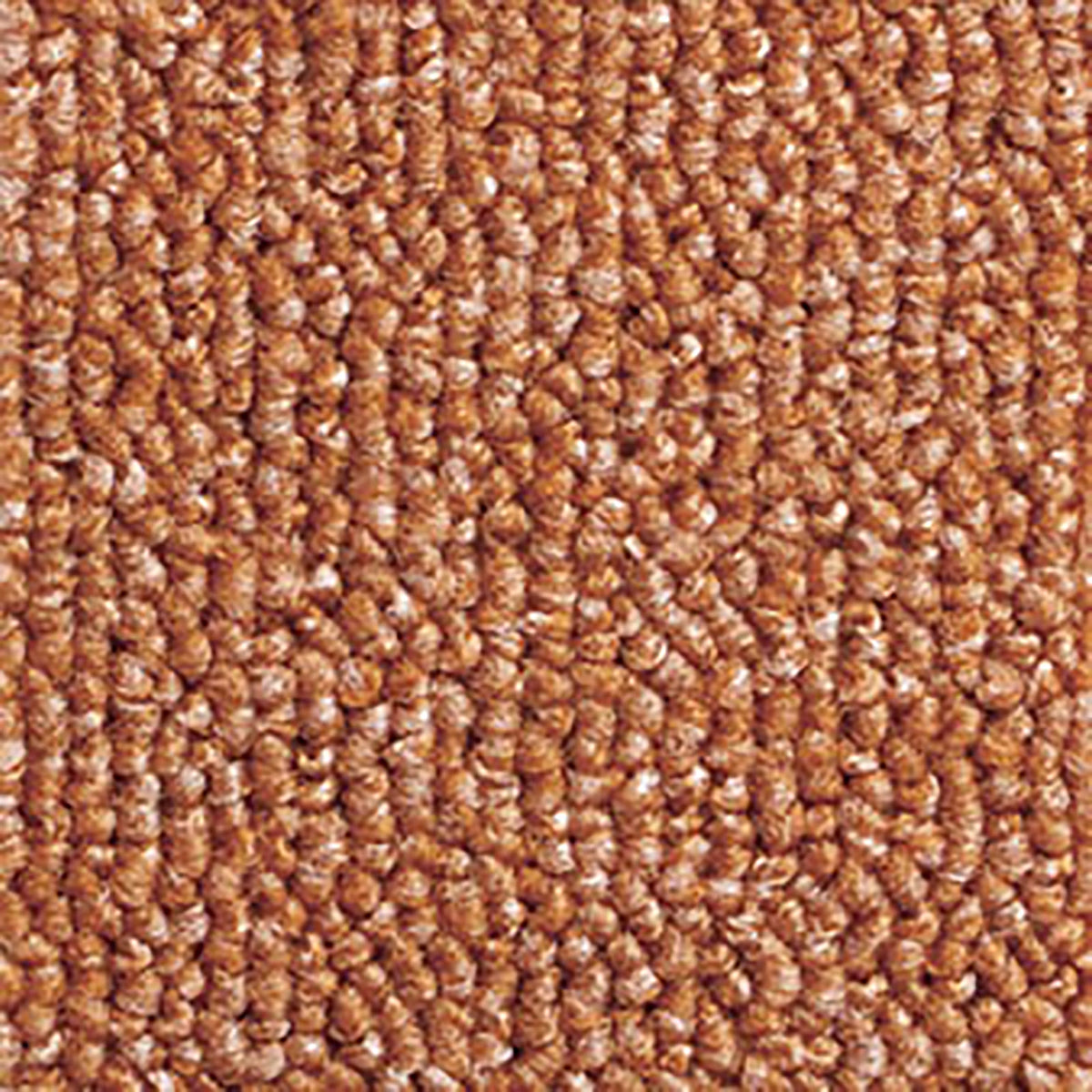 13248545_123の画像です