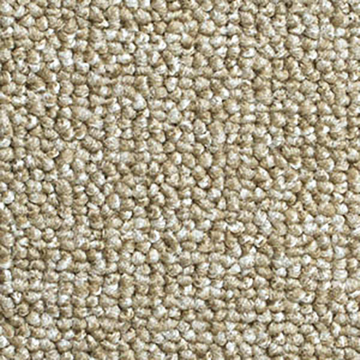 13248545_150の画像です