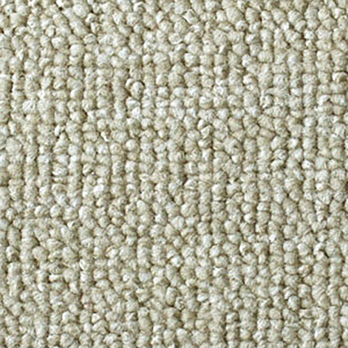 13248545_160の画像です