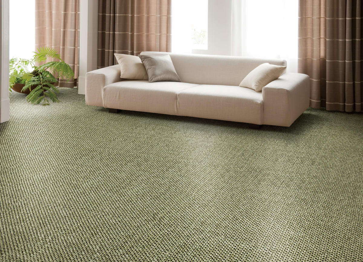 ピクセラ  (PX-4 グリーン)