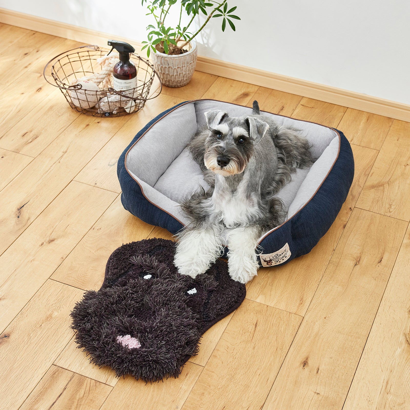 INUKAO / イヌカオ (#76 BKシュナウザー)