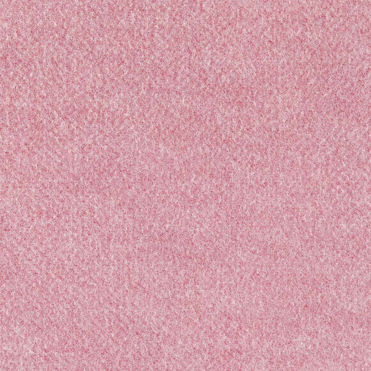 3117 (ピンキー抗菌パンチ)