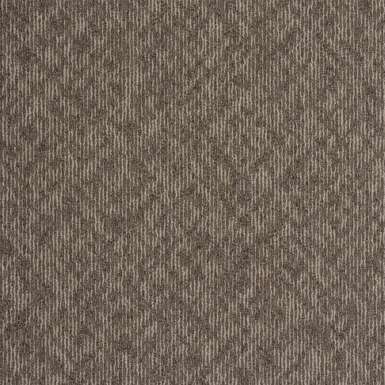 EX-1005(EX-1000 REFLECTOR)