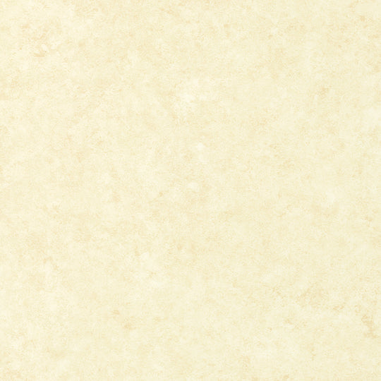 SFPC-8004 (スミフォーム オプセルCT)