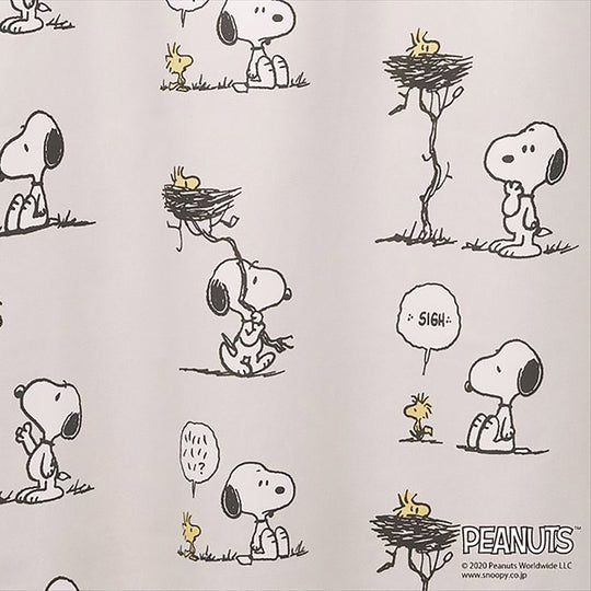 P-1023 (Friend's nest/フレンズネスト)