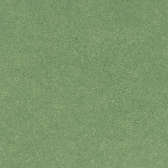 SOPC-8015 (Sumirium Opsel CT)