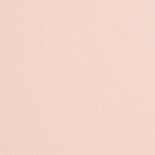 SP-3022CT (スミリウム プレーンCT)