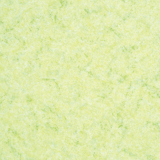 SPMC-1113 (Sumirium patio CT)