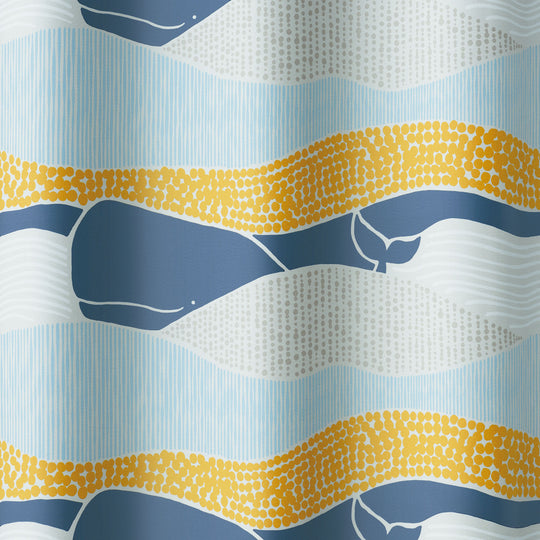 V-1372 (KUJIRA VOYAGE / クジラボヤージュ)