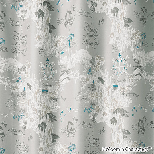 A-1021 (ムーミン谷の地図/ムーミンダニノチズ)