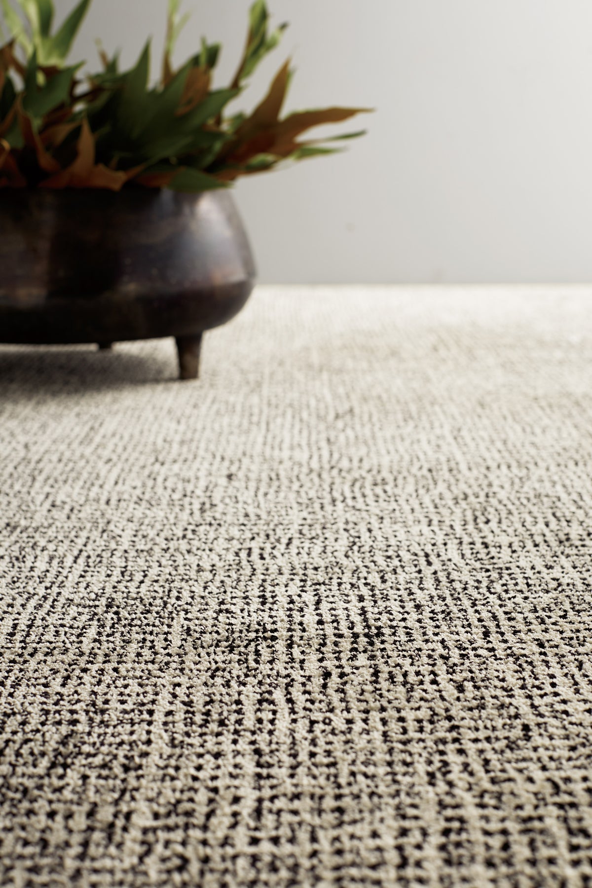 ASHI-1 (絁 アシギヌ 　ASHIGINU)