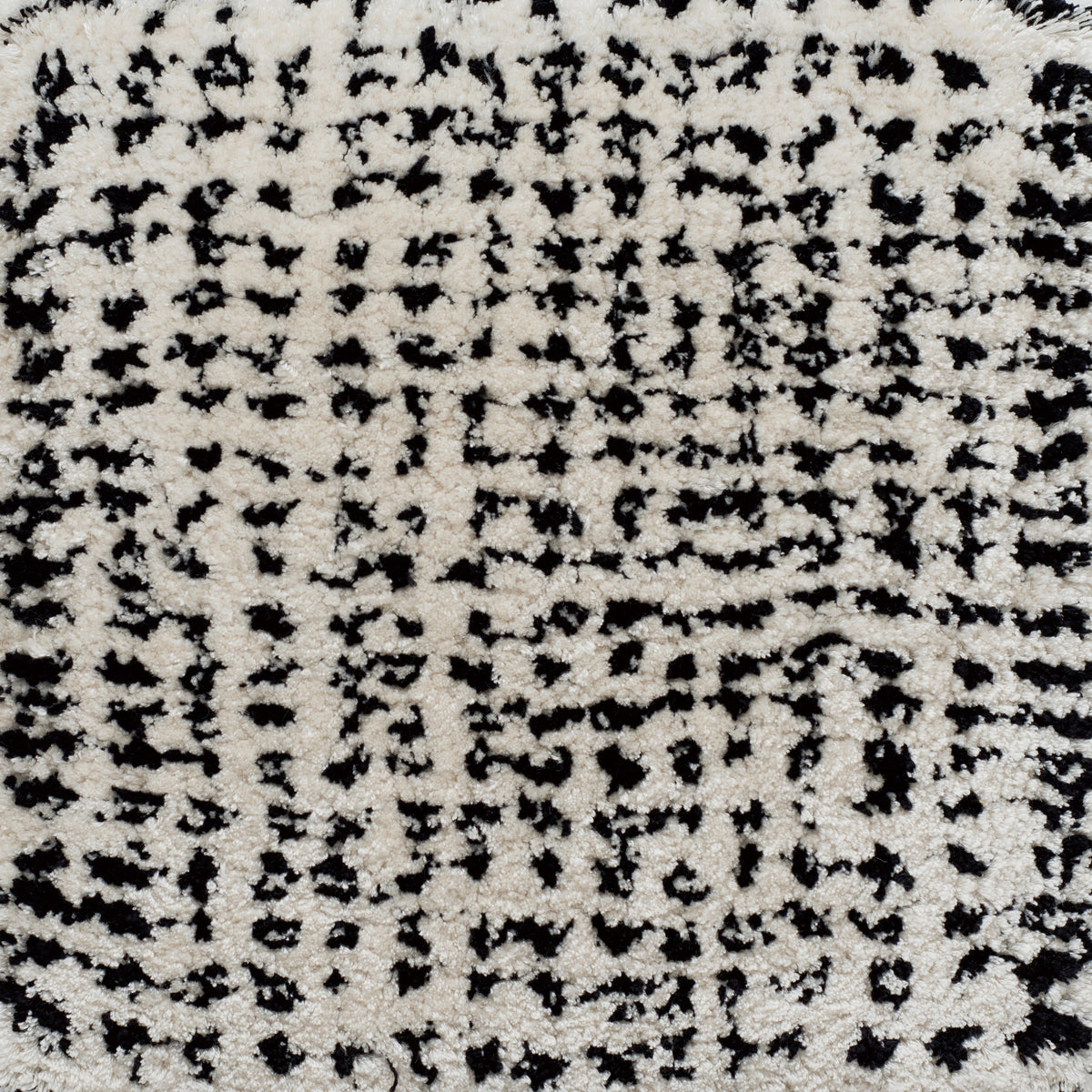 ASHI-1 (絁 アシギヌ 　ASHIGINU)