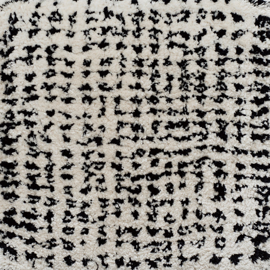 ASHI-1 (ASHIGINU / build-to-order manufacturing)