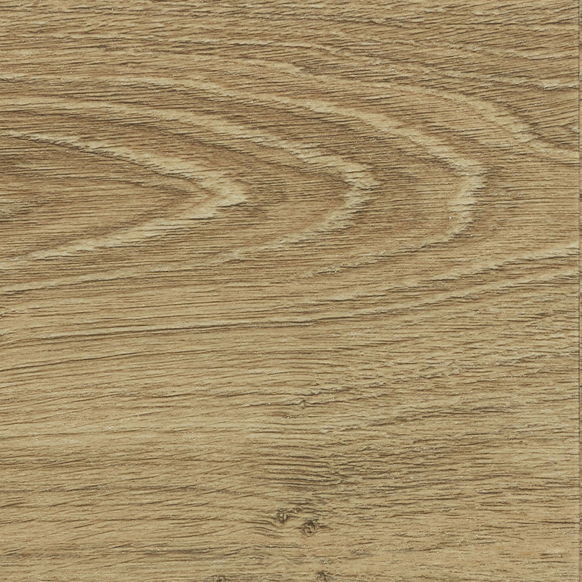 希少‼︎自然木！ authenticoakhoney60001604_up_1