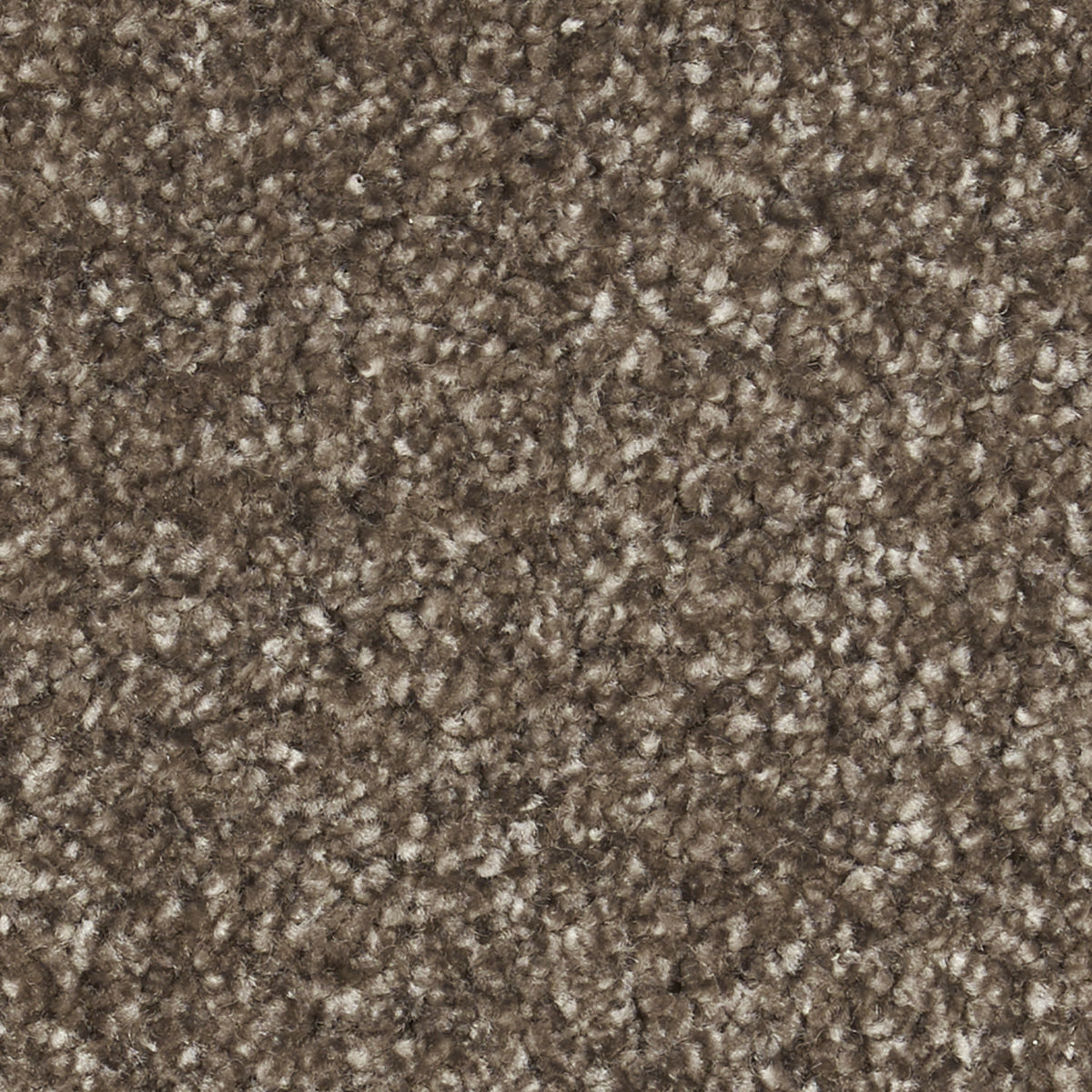 co_FUGA_004_1200x1200_crop_cen