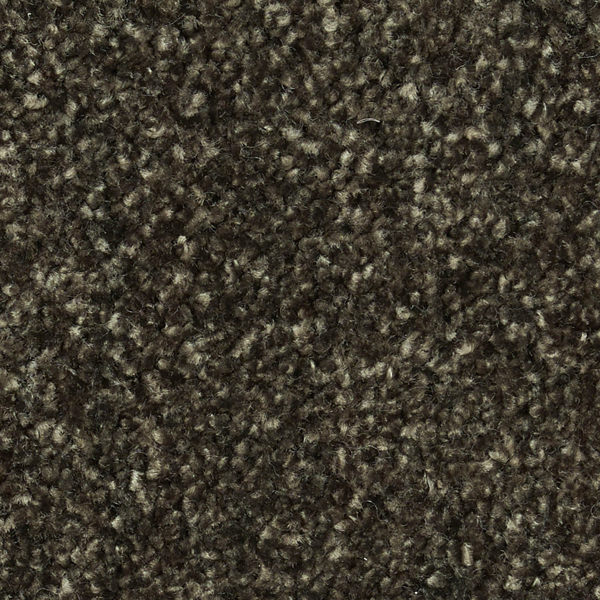 co_FUGA_009_1200x1200_crop_cen