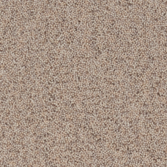 YUTA / ユタ ( #2グレージュ)