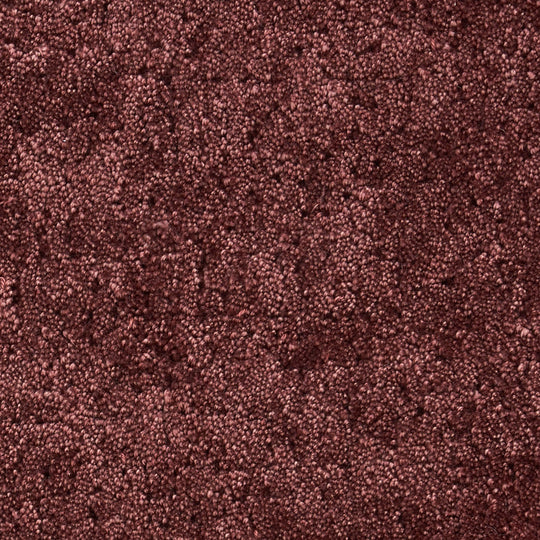 ZEKKA / ゼッカ ( #4ワイン)