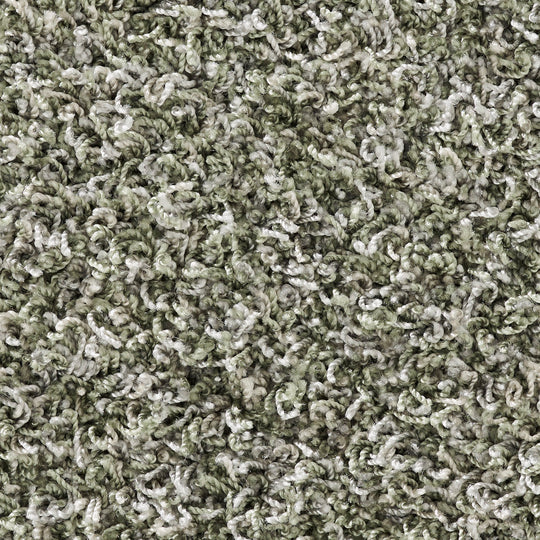 AND  ( #74 Laurel Green)