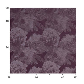 D-8130 Eleganceの画像です
