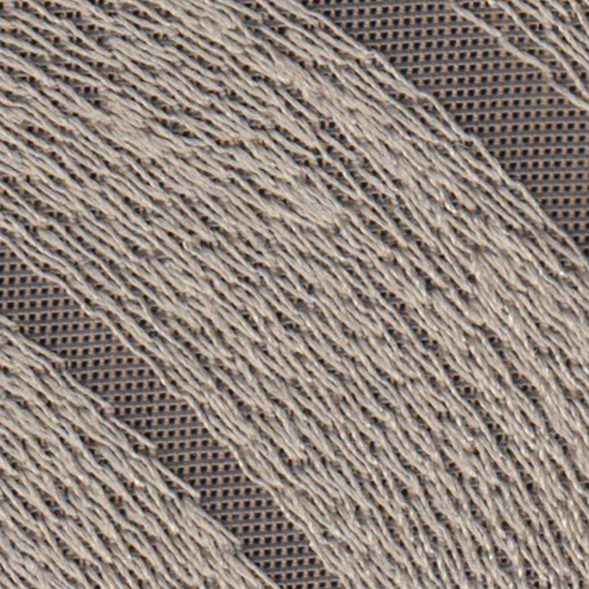 散侘助 d8351_up_1200x1200_crop_center