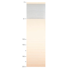 ポラリスの画像です
