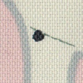 ベリべティアの画像です