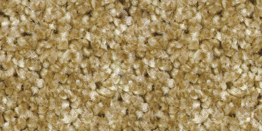 ECR-102 (エコロア100　ECOLOA100)