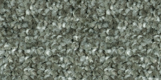 ECR-106 (エコロア100　ECOLOA100)