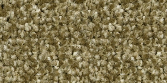 ECR-107 (エコロア100　ECOLOA100)