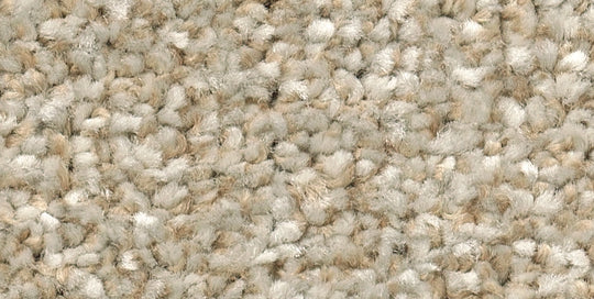 ECR-113 (エコロア100　ECOLOA100)