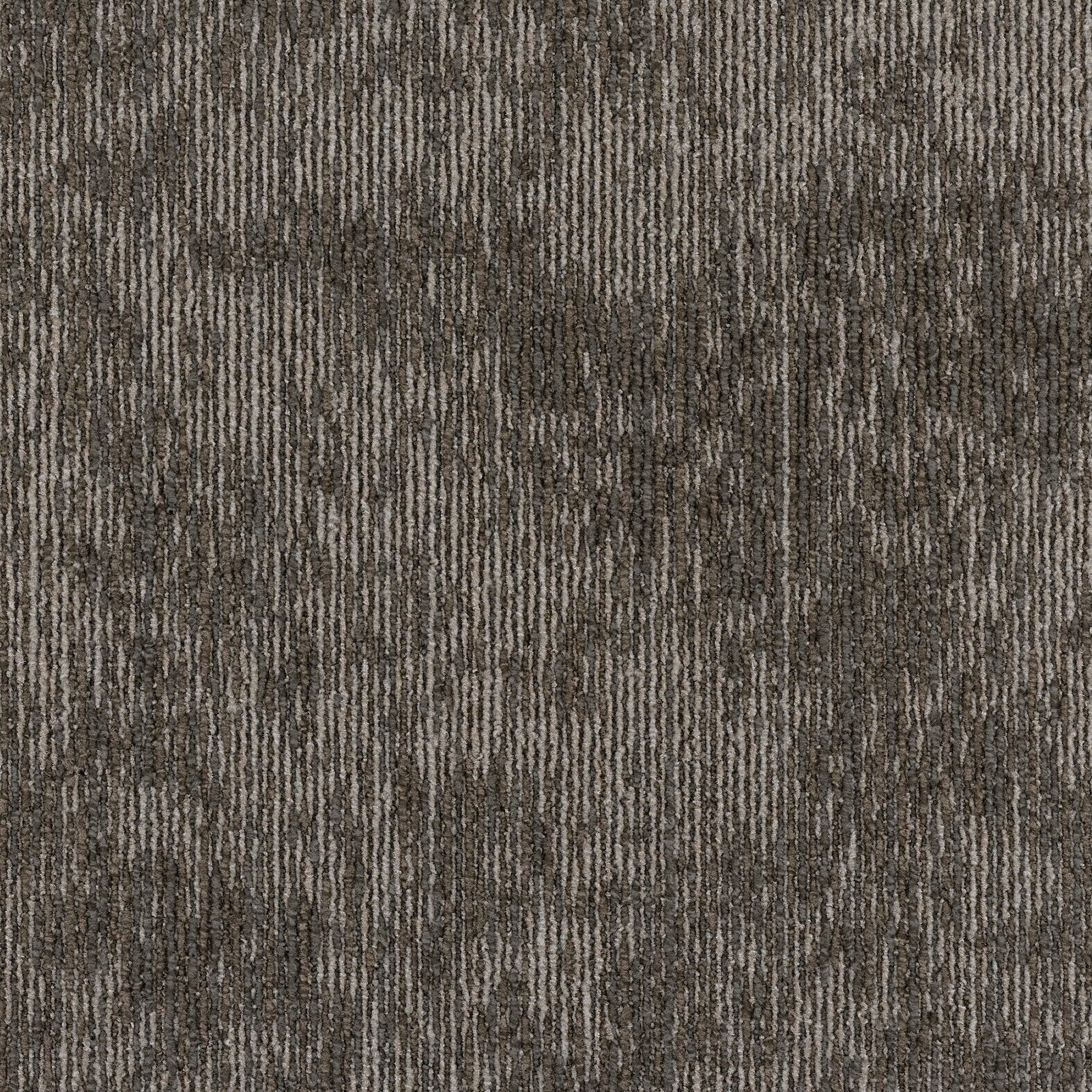 EX-2004 (EX-2000 MISTY HAZE)