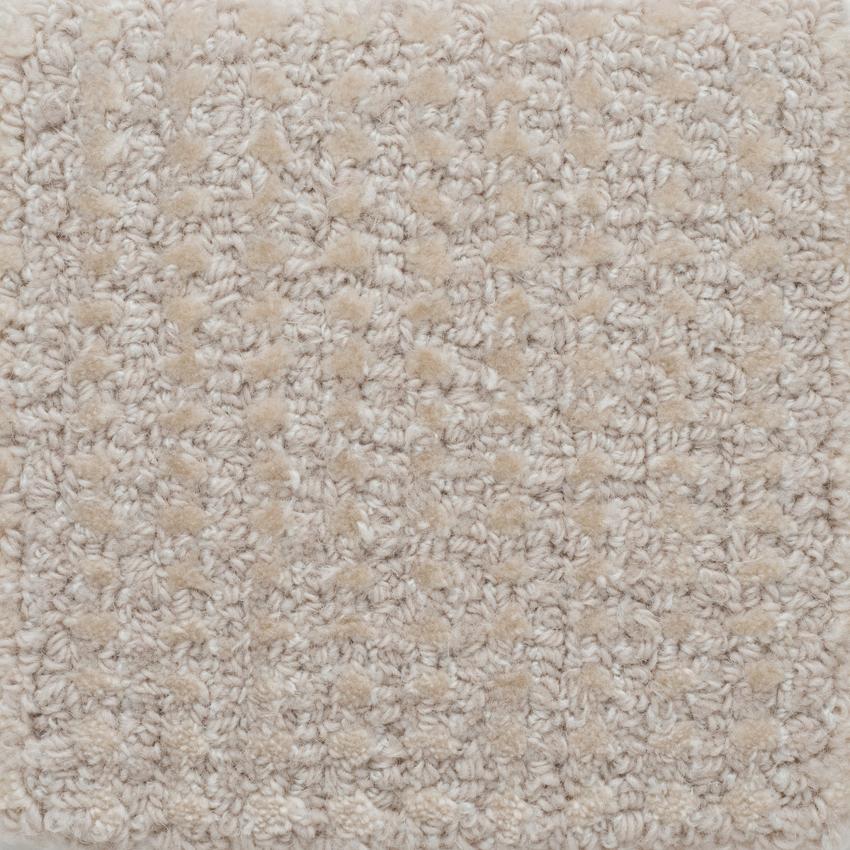 HANA-3 (花珠 ハナタマ 　HANATAMA)