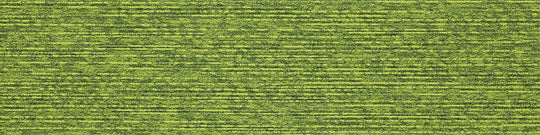 iD-1016EP(iD-1000EP PIGMENTS)