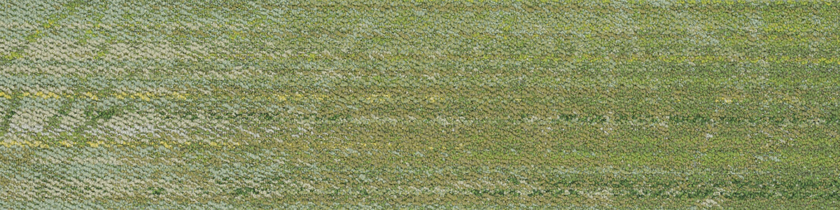 iD-1526EP (iD-1500EP Cork Tree)