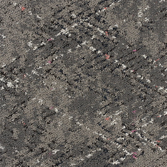 iD-4703 (iD-4700 Ball's Pyramid)