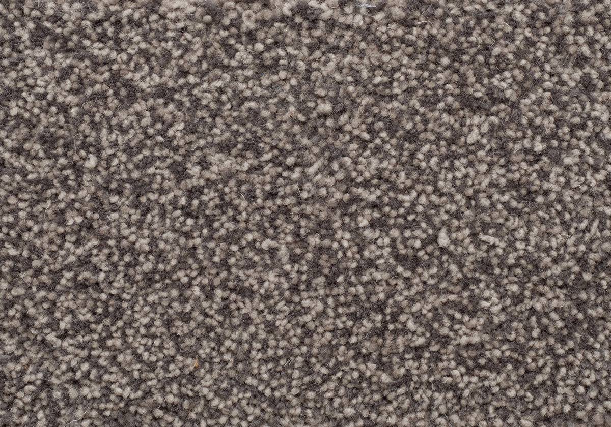 KOTO-4 (琴引 コトヒキ　KOTOHIKI)