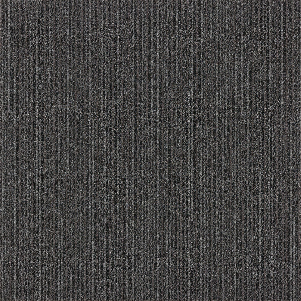 lx-1004の画像です