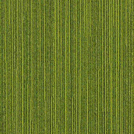 LX-1134 (LX-1100 RANDOM)