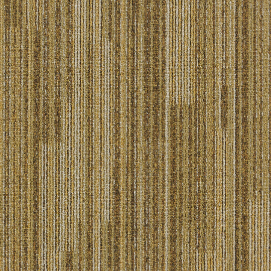 LX-1613 (LX-1600 SHADE)