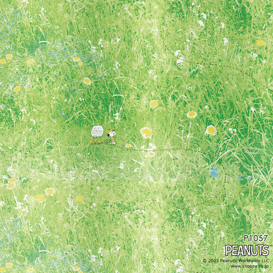 P-1057 (Field voile/フィールドボイル)