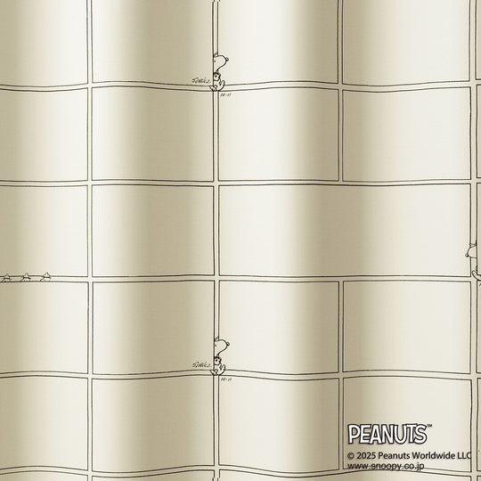 P-1065 (Comic grid / コミックグリッド)