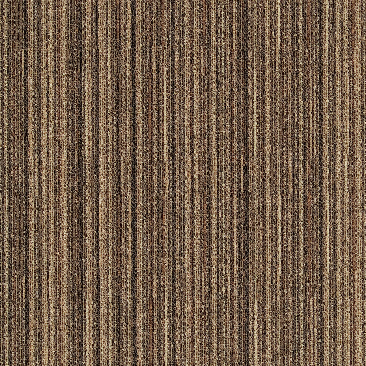 sg-351の画像です
