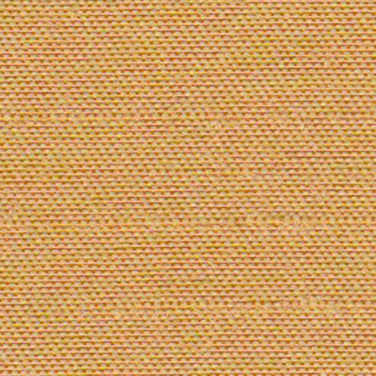 U-5203　Plain