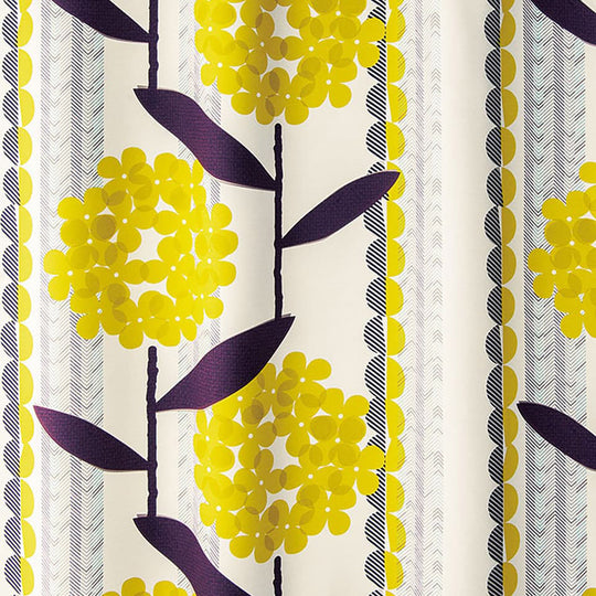 V-1234 (KEIRANSASU/ケイランサス)