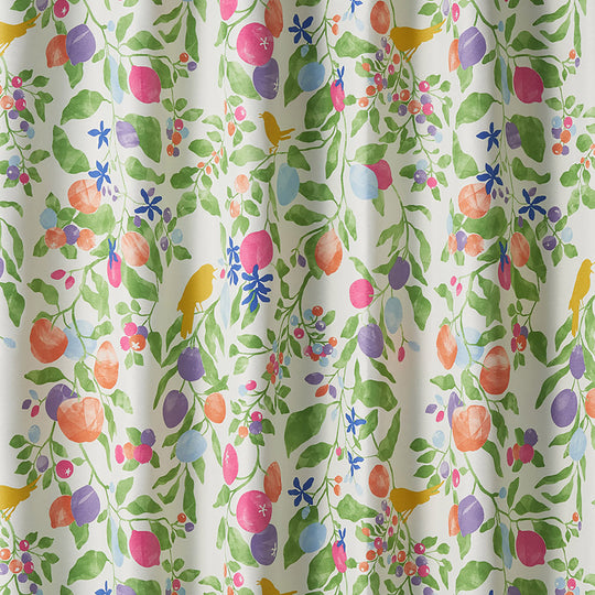 V-1351 (FRUITS TORI /フルーツトリ)