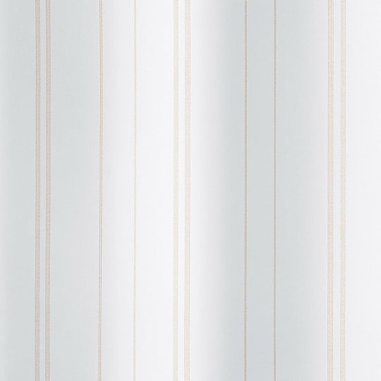 V-2107 (STITCH LINE/ステッチライン)